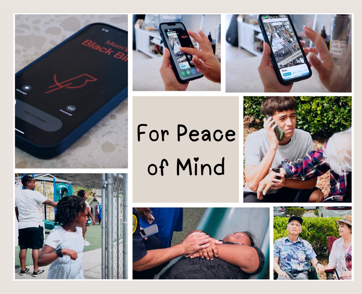 Lifeline Services Collage